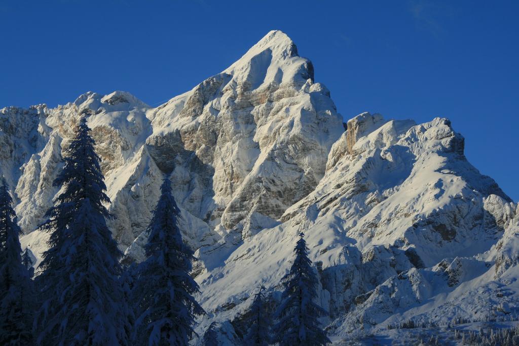Zoldo Alto Rifugio Passo Staulanza酒店 外观 照片