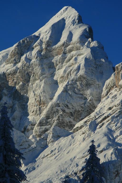 Zoldo Alto Rifugio Passo Staulanza酒店 外观 照片